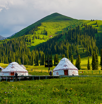 Authentic Mongolia